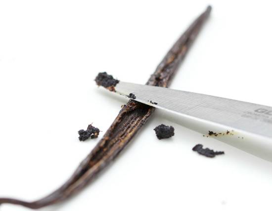 vanilla bean use